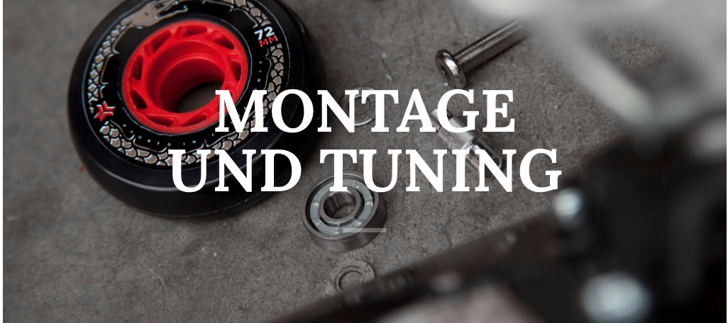 Freebord - Montage und Tuning