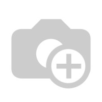 Wheel Micro Mint 145mm 2023
