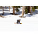 Snowboard Jones Women's Flagship 2024