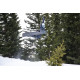 Snowboard Nidecker The Gun 2025 + Fixations de snowboard