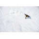 Snowboard Nidecker The Smoke 2025 + Fixations de snowboard