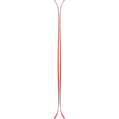 Ski Line Sir Francis Bacon Shorty 2020 