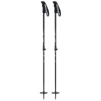 Ski Pole Line Vision 2024