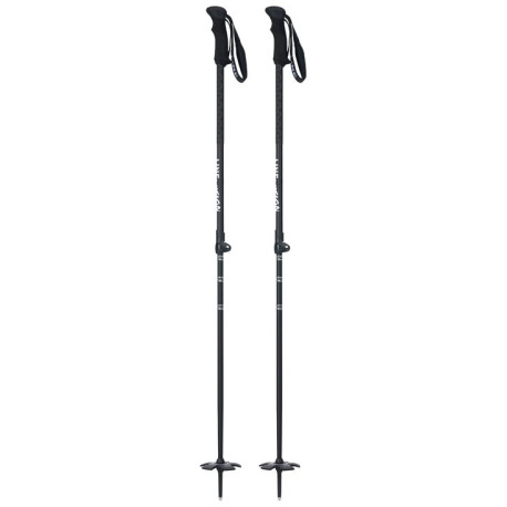 Ski Pole Line Vision 2024