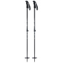 Ski Pole Line Vision 2024