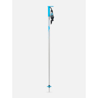 Ski Pole Line Wallischtick 2024