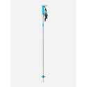 Ski Pole Line Wallischtick 2024