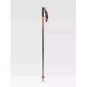 Bâtons de Ski Line Pin 2023 