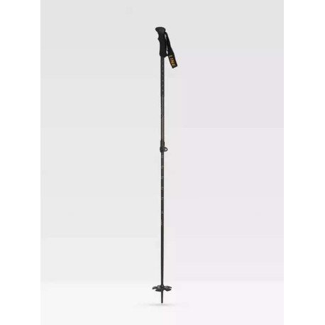 Ski Poles Line Vision 2023 