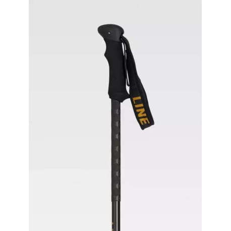 Ski Poles Line Vision 2023 