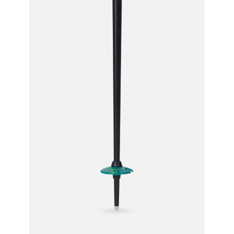 Ski Pole Line Paintbrush 2024