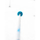 Ski Pole Line Wallischtick 2024