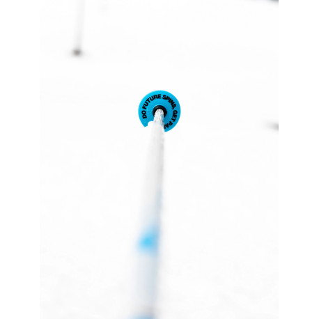 Ski Pole Line Wallischtick 2024