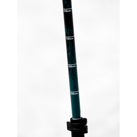 Ski Pole Line Paintbrush 2024