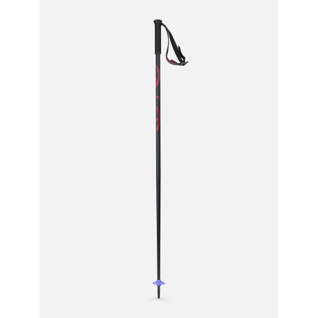 Bâtons de Ski Line Tac 2024
