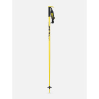 Ski Pole Line Pin 2024