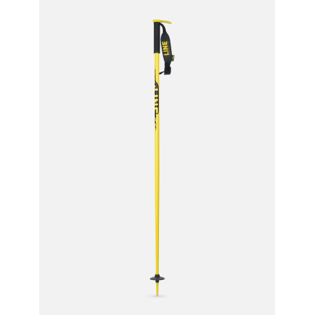 Ski Pole Line Pin 2024