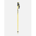 Bâtons de Ski Line Pin 2024