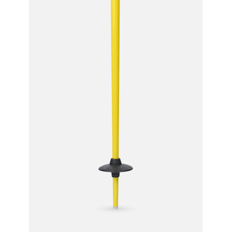 Bâtons de Ski Line Pin 2024