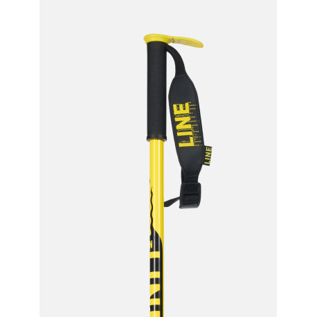 Bâtons de Ski Line Pin 2024