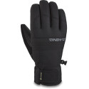 Dakine Ski Glove Bronco Gore-Tex Black 2021