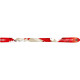 Ski Dynastar Cham Alti 79 2014