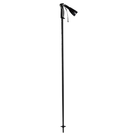 Ski Pole Head Frontside Anthracite 2024