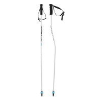 Bâtons de Ski Head Worldcup Sg Jr 2024