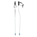 Ski Pole Head Worldcup Sg Jr 2024