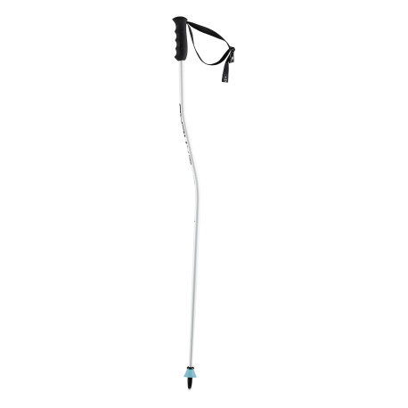 Ski Pole Head Worldcup Sg Jr 2024