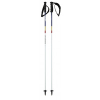 Bâtons de Ski Head Porsche Carbon 2024