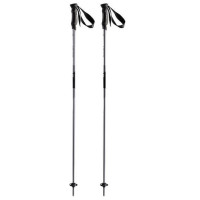 Bâtons de Ski Head Joy Black Silver 2024