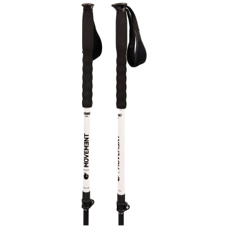 Bâtons de Ski Movement Nomad 2 2025 