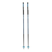Bâtons de Ski Armada Legion 2025 