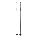 Ski Pole Armada Legion 2025 