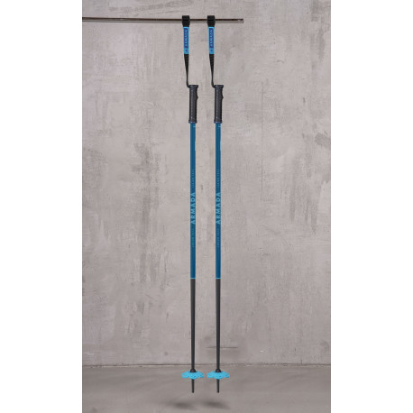 Bâtons de Ski Armada Legion 2025 