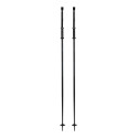 Ski Pole Armada Triad 2025 