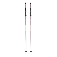 Bâtons de Ski Armada Triad 2025 