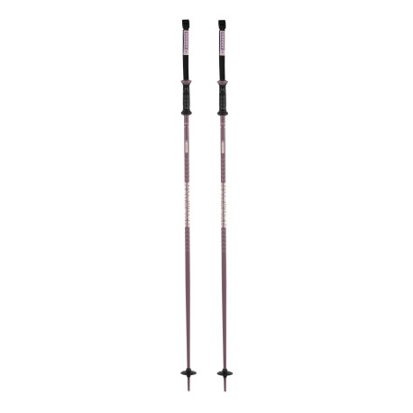 Bâtons de Ski Armada Triad 2025 