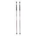 Ski Poles Armada Triad 2025 