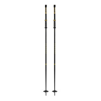 Bâtons de Ski Armada Triad Bb 2025 