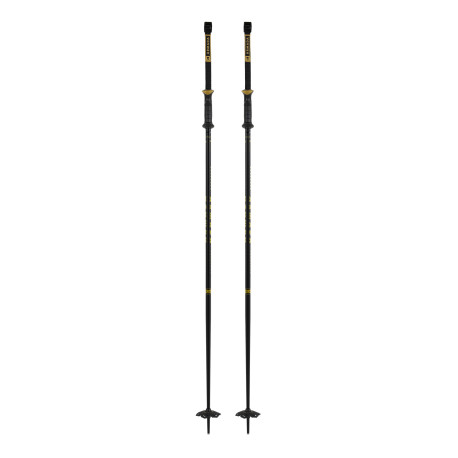 Bâtons de Ski Armada Triad Bb 2025 