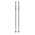 Bâtons de Ski Armada Triad Bb 2025 