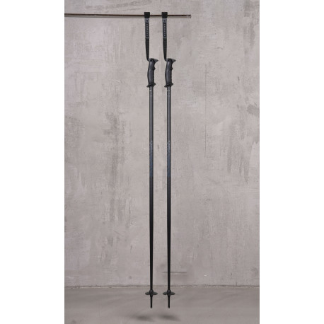 Ski Pole Armada Triad 2025 