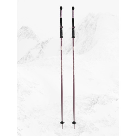 Bâtons de Ski Armada Triad 2025 