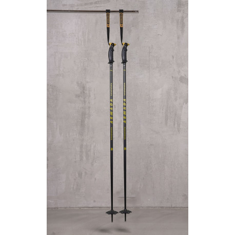 Bâtons de Ski Armada Triad Bb 2025 