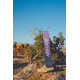Snowboard Arbor Swoon Rocker 2022