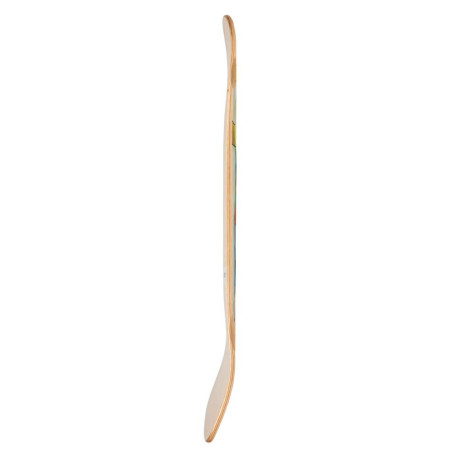 Skateboard Deck Only Arbor Legacy Oso Tripped 10" 2024 