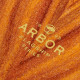 Longboard Complete Arbor Axis 40" Flagship 2023 