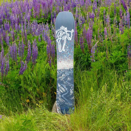 Snowboard Arbor Annex Camber 2023